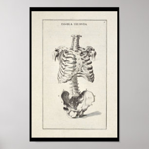 1691 Artistic Anatomy Skeleton Art Print