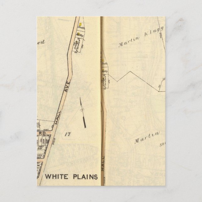 16-17 White Plains Postcard (Front)