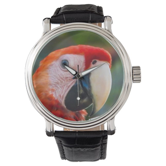 16  WATCH parrot (Front)