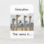 **16** YOU ARE NOW A TEENAGER **GRANDSON** CARD<br><div class="desc">HAPPY BIRTHDAY  ***GRANDSON**** THANKS FOR STOPPING BY ONE OF MY EIGHT STORES!</div>