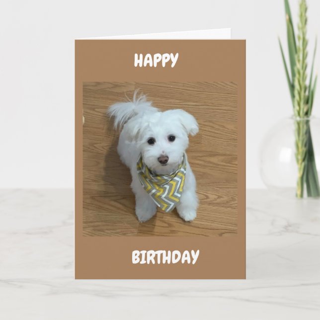 ***16th BIRTHDAY****A NEW DRIVER SOON! Card (Front)