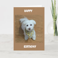 ***16th BIRTHDAY****A NEW DRIVER SOON!