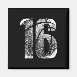 16th Birthday Boy Sketll Player Sketll 16 Years Ol Magnet