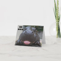 **16th BIRTHDAY** FROM HIPPO COMEDIAN