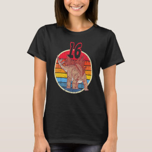 16th Birthday I Stegosaurus Stenops I Family Match T-Shirt