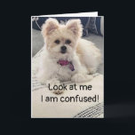 **16th BIRTHDAY** SO VERY CONFUSED! Card<br><div class="desc">***16th BIRTHDAY*** SO NICE TO ACKNOWLEDGE THIS WITH A "GREAT CARD" DON'T YOU THINK? AND THIS ONE IS JUST THAT AND MORE!!!! THANK YOU FOR STOPPING BY ONE OF MY EIGHT STORES!</div>