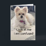 **16th BIRTHDAY** SO VERY CONFUSED! Card<br><div class="desc">***16th BIRTHDAY*** SO NICE TO ACKNOWLEDGE THIS WITH A "GREAT CARD" DON'T YOU THINK? AND THIS ONE IS JUST THAT AND MORE!!!! THANK YOU FOR STOPPING BY ONE OF MY EIGHT STORES!</div>