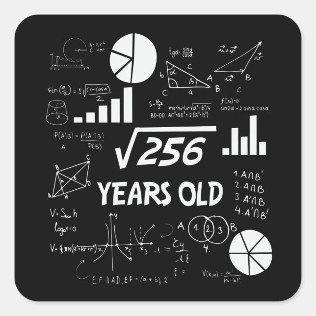 16th Birthday Square Root Math 16 Years Old Bday Square Sticker (Front)