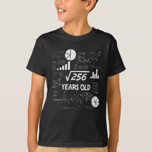 16th Birthday Square Root Math 16 Years Old Bday T-Shirt