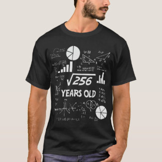 16th Birthday Square Root of 256 Math 16 Years Old T-Shirt
