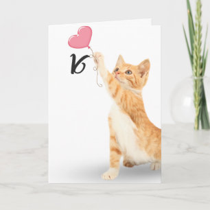 16th birthday tabby cat card