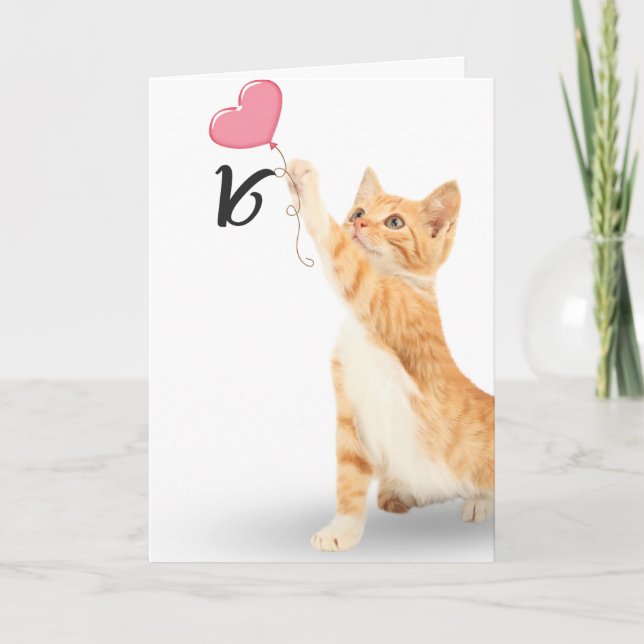 16th birthday tabby cat card (Front)