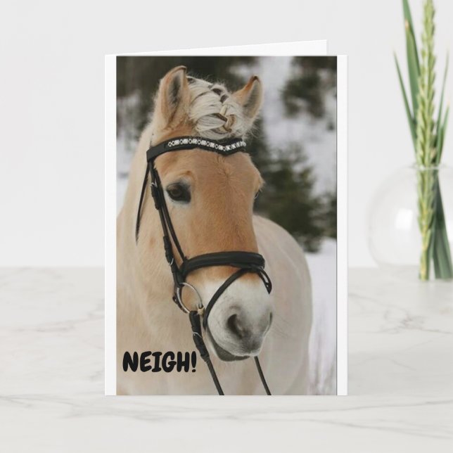 ***16th BIRTHDAY**** WOW SAYS SURPRISED HORSE Card (Front)