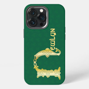 16th Century Celtic Knot Decorative Capital N iPhone 13 Pro Case