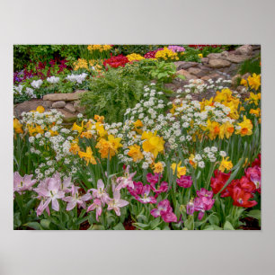 16x12 Colorful Spring Flowers in full bloom Poster