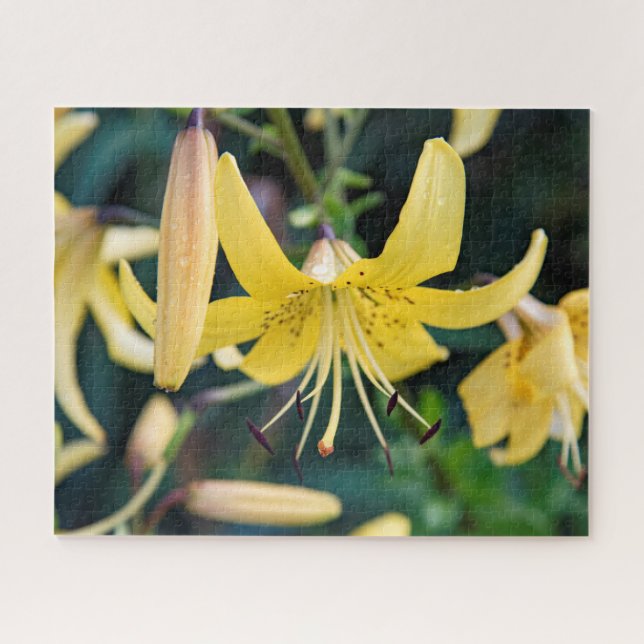 16x20, 520 Piece, Puzzle (Horizontal)