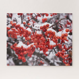 16x20, 520 Piece, Puzzle