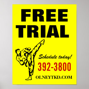 16x20 Free Trial karate poster