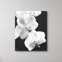 16X20 Orchids in Black&White Wrapped Canvas Art