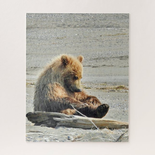 16x20 Puzzle of grizzly bear cub (Vertical)