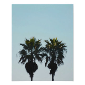 16x20 Summer Palm Trees Photo Print