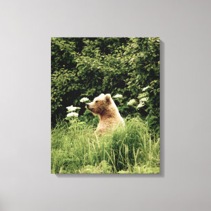 16x20 Wrapped Canvas (Gloss) w/ grizzly bear
