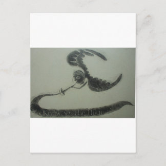 1700s Angel Of Death American Grave Rubbing Design Postcard