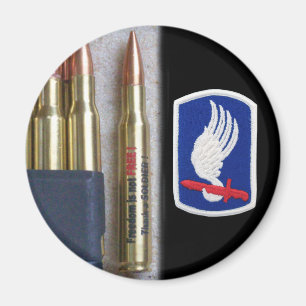173rd airborne patch vet magnet vfw nam iraq