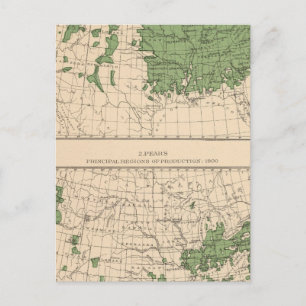 174 Apples, pears, principal regions Postcard