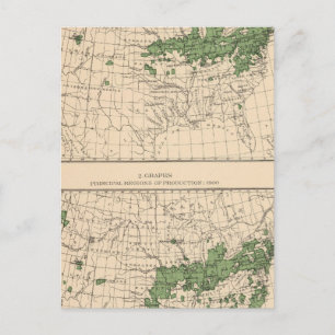 175 Cherries, grapes, principal regions Postcard