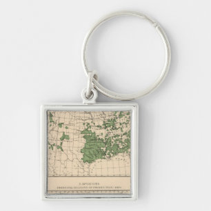 176 Peaches, nectarines, apricots Key Ring