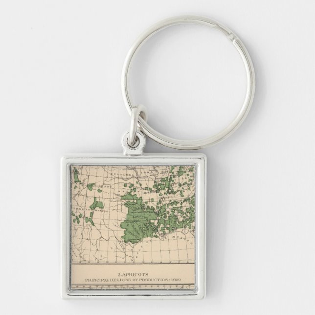 176 Peaches, nectarines, apricots Key Ring (Front)