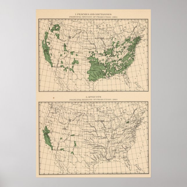 176 Peaches, nectarines, apricots Poster (Front)