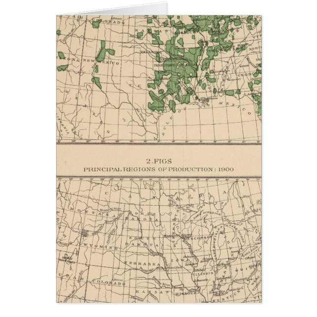 177 Plums, prunes, figs, principal regions (Front)