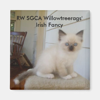 178, RW SGCA Willowtreerags'  Irish Fancy Magnet