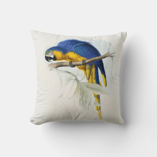 #17-Blue & yellow maccaw Cushion (Front)
