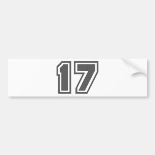 17 BUMPER STICKER