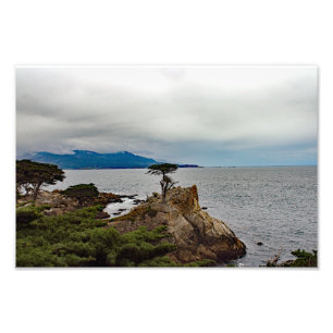 17 Mile Drive Photo Print