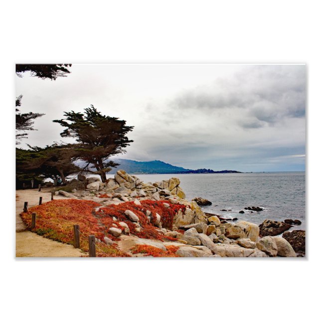 17 Mile Drive Photo Print (Front)