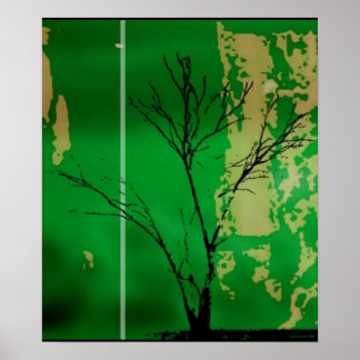 #17 POSTER