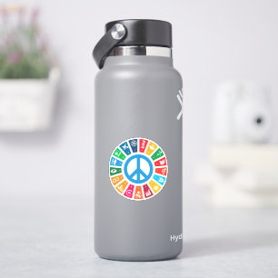 17 UN SDGs Sustainable Development Goals