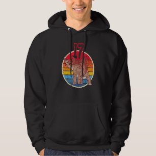 17th Birthday I Stegosaurus Stenops I Family Match Hoodie