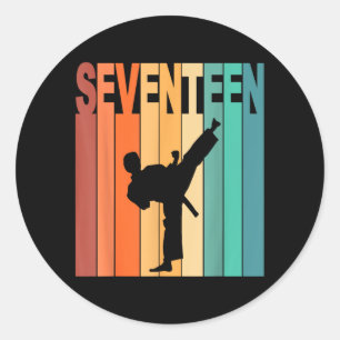 17th Birthday Karate Taekwondo Theme 17 Year Old Classic Round Sticker
