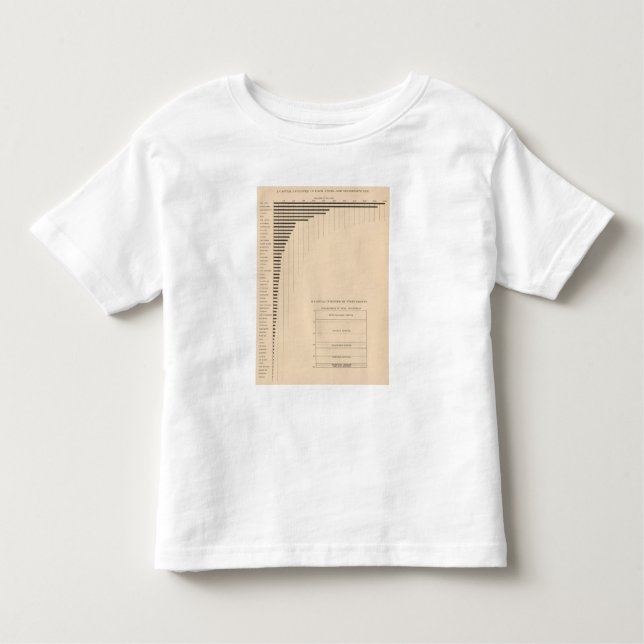 181 Capital by states, groups Toddler T-Shirt (Front)