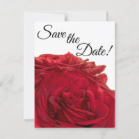 1824-Red Roses