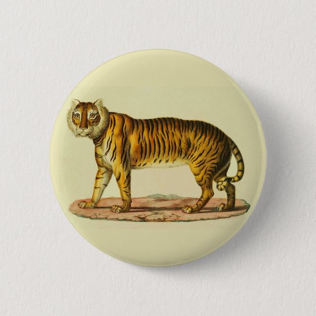 1824 tiger print 6 cm round badge (Front)