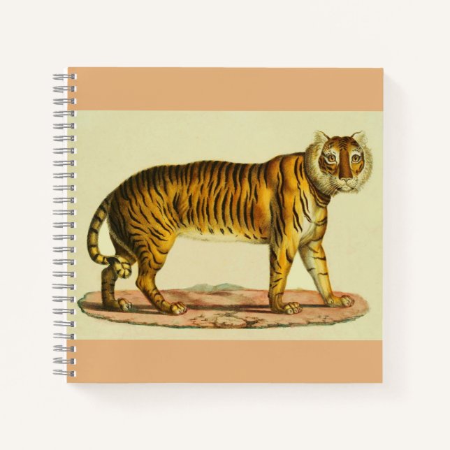 1824 tiger print notebook (Front)