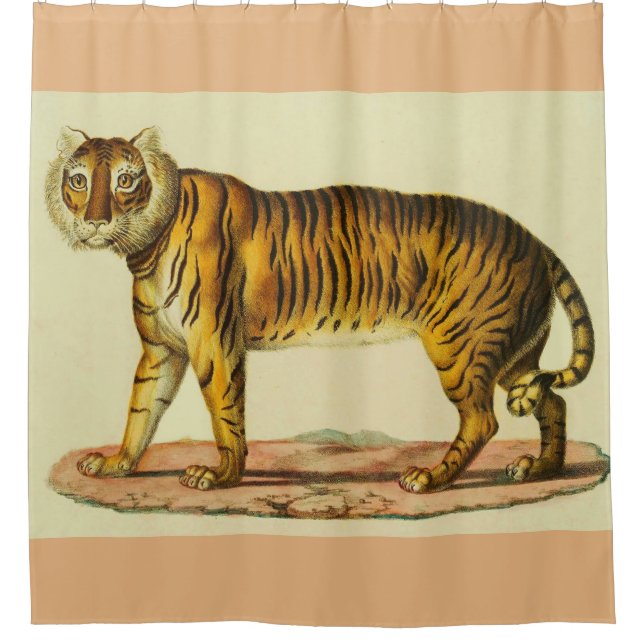 1824 tiger print shower curtain (Front)
