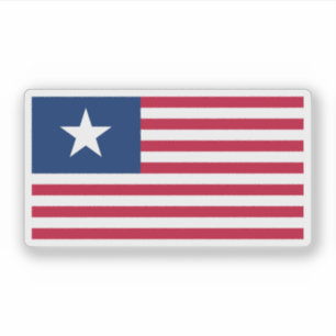 1836–1839 The Lone Star and Stripes