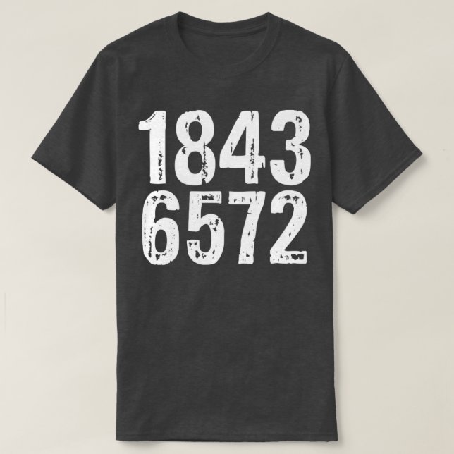 1843 offensive adult humour T-Shirt (Design Front)